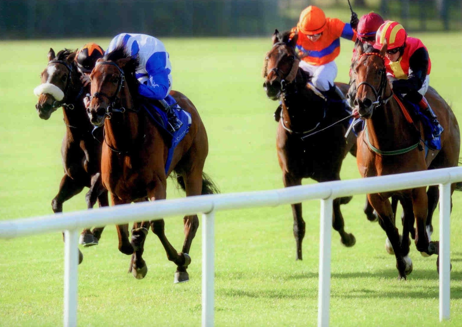 CAPE WOLFE makes it two in a row at Leopardstown on Thursday 18th June 2015
